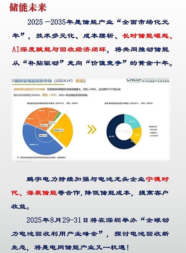 储能未来